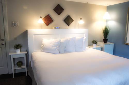 Imagen de la habitación del Hotel Pilgrim House. Foto 16