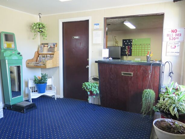 Imagen general del Hotel Pillow Talk Motel. Foto 1