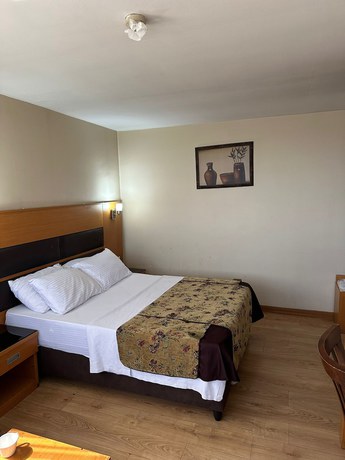 Imagen de la habitación del Hotel Pinar Elite. Foto 10