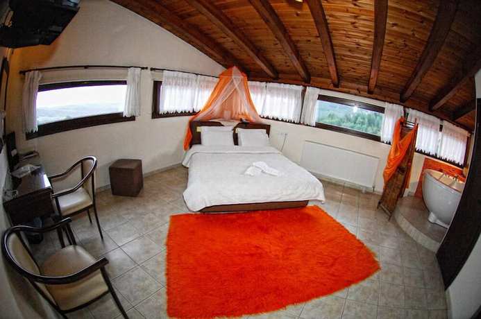 Imagen de la habitación del Hotel Pindos Palace. Foto 10