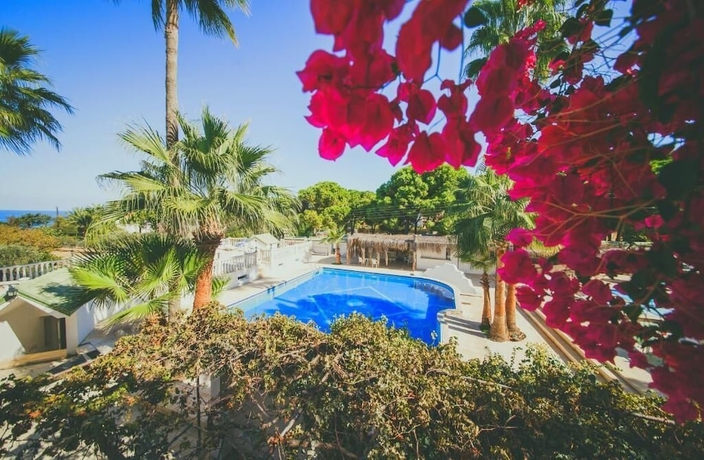 Imagen de la piscina del Hotel Pine Bay. Foto 18
