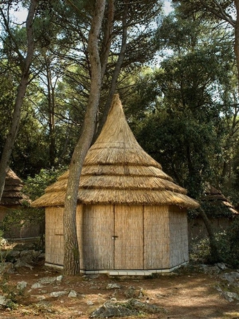 Imagen general del Hotel Pine Beach Pakostane Eco Resort. Foto 4