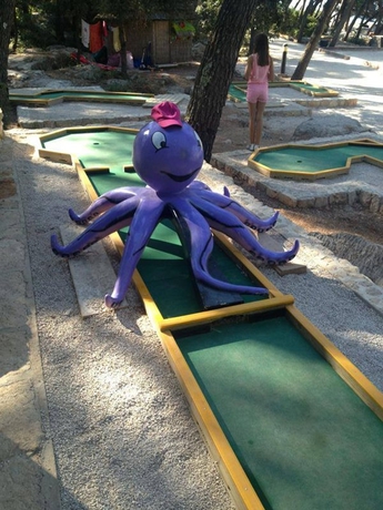 Imagen general del Hotel Pine Beach Pakostane Eco Resort. Foto 10