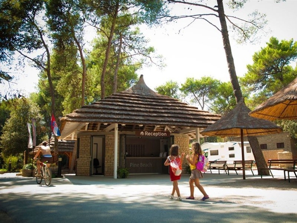 Imagen general del Hotel Pine Beach Pakostane Eco Resort. Foto 16