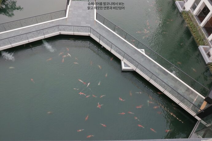 Imagen de la habitación del Hotel Pine Forest. Foto 29