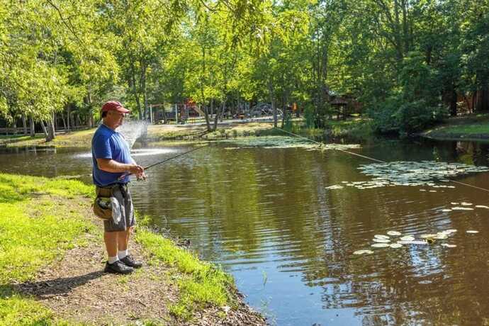 Imagen general del Hotel Pine Haven Campground. Foto 3