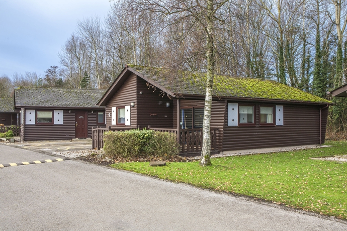 Imagen de los exteriores del Hotel Pine Lake Resort. Foto 13