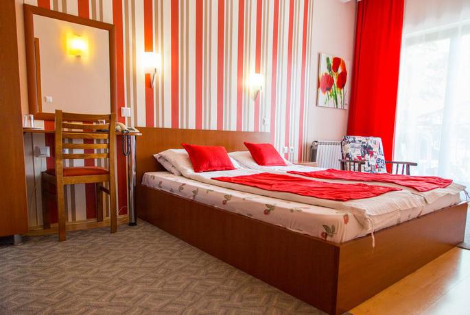 Imagen de la habitación del Hotel Pine, SKOPJE. Foto 10