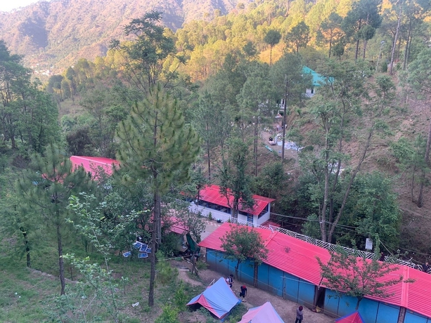 Imagen general del Hotel Pine Trails Jungle Camp. Foto 1