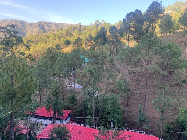 Imagen general del Hotel Pine Trails Jungle Camp. Foto 2