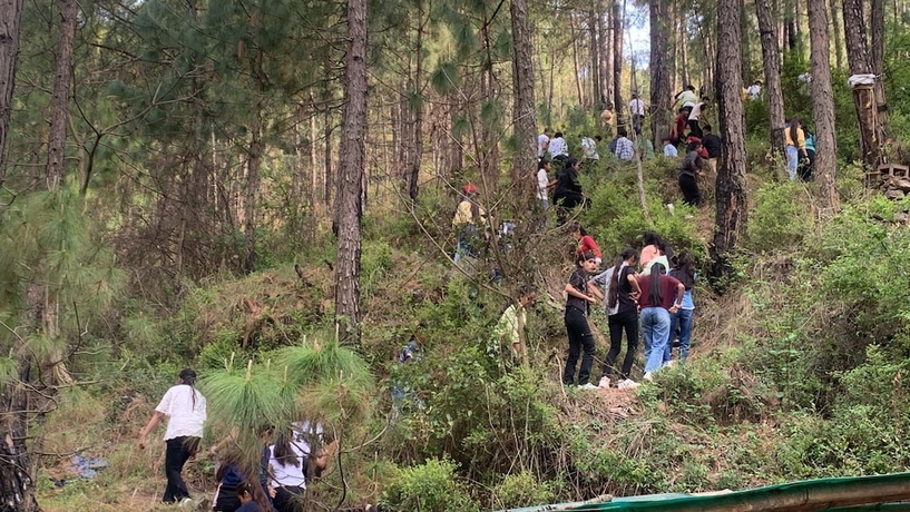 Imagen general del Hotel Pine Trails Jungle Camp. Foto 4