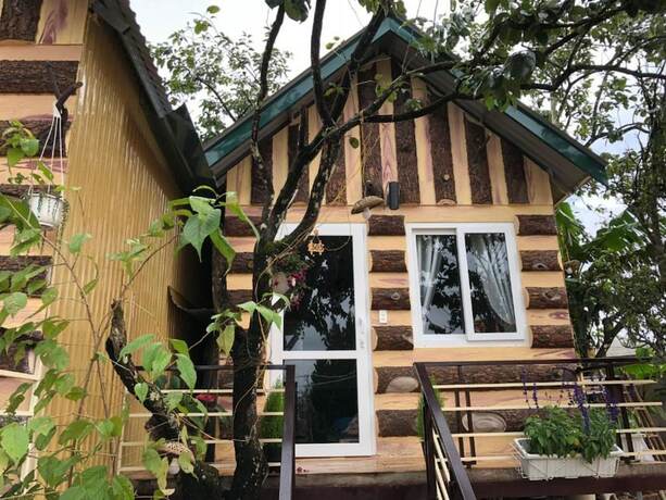 Imagen de la habitación del Hotel Pine Tree House Da Lat. Foto 15