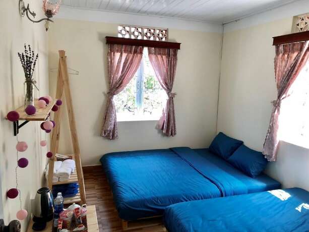 Imagen general del Hotel Pine Tree House Da Lat. Foto 8