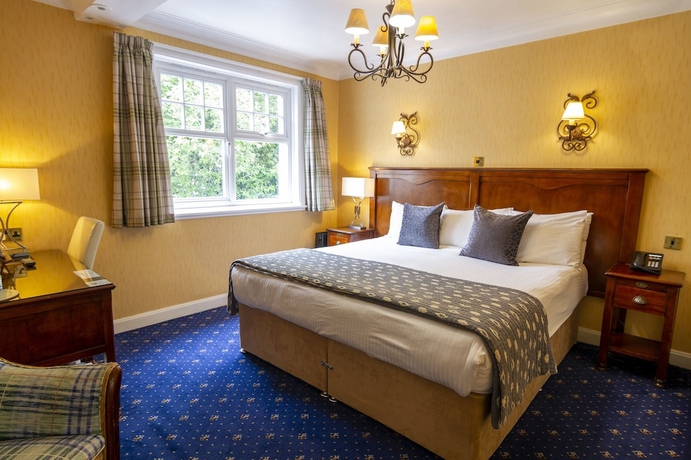 Imagen de la habitación del Hotel Pine Trees. Foto 9