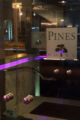 Imagen de los interiores del Hotel Pines. Foto 12