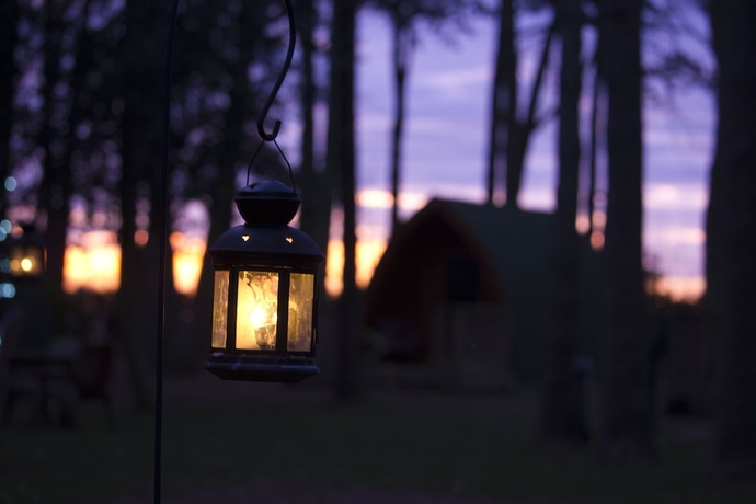 Imagen de los exteriores del Hotel Pinewood Camping Pods - At Port Lympne Reserve. Foto 11