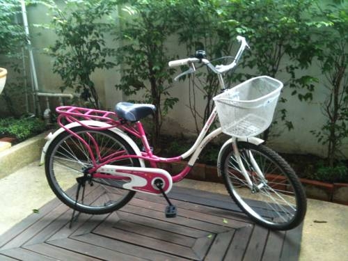 Imagen general del Hotel Ping Phu Place. Foto 10