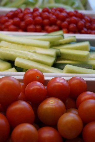 Imagen general del Hotel Pingvinhotellet Unn Tromsø. Foto 3