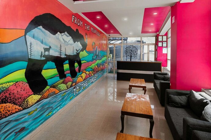 Imagen de los interiores del Hotel Pink House. Foto 20