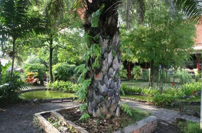 Imagen de los exteriores del Hotel Pinnacle Satun Wangmai. Foto 8