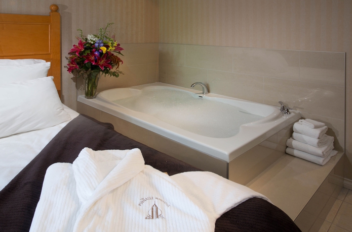 Imagen de la habitación del Hotel Pinnacle Whistler Village. Foto 8