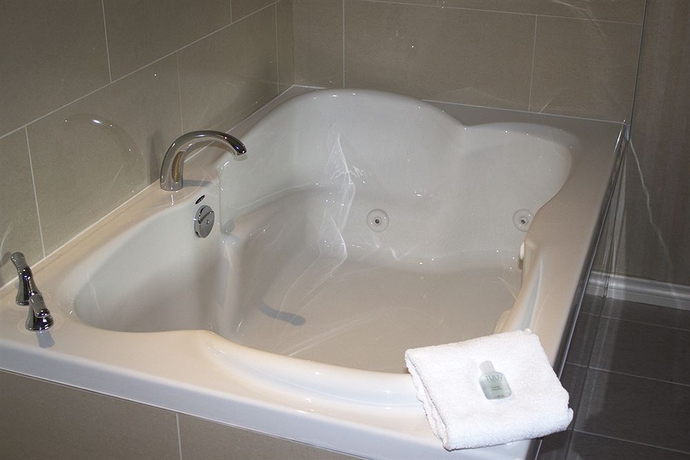 Imagen de la habitación del Hotel Pinnacle Whistler Village. Foto 10