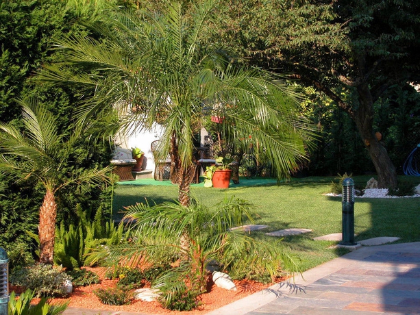 Imagen de los exteriores del Hotel Piñeiro. Foto 7