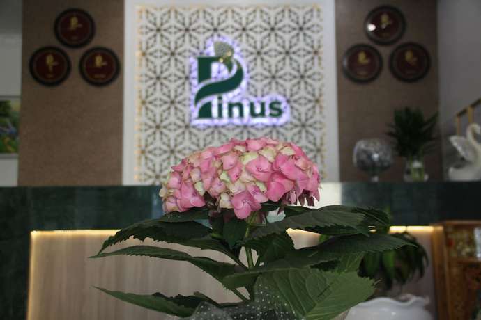 Imagen de los interiores del Hotel Pinus. Foto 19