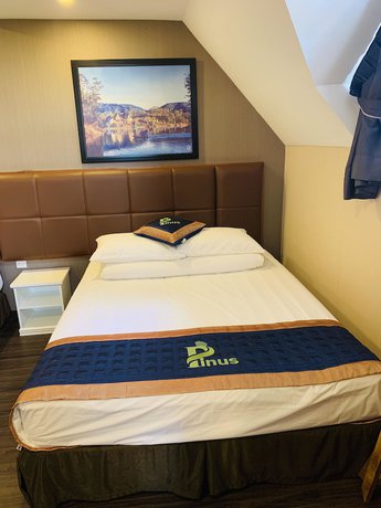 Imagen de la habitación del Hotel Pinus. Foto 3