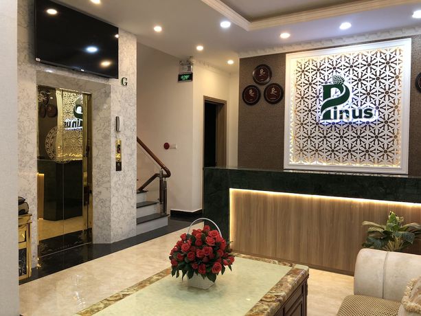 Imagen general del Hotel Pinus. Foto 1
