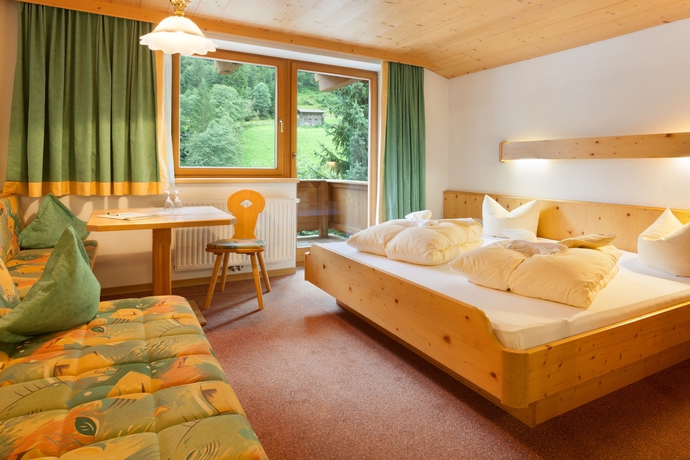 Imagen de la habitación del Hotel Pinzger. Foto 10