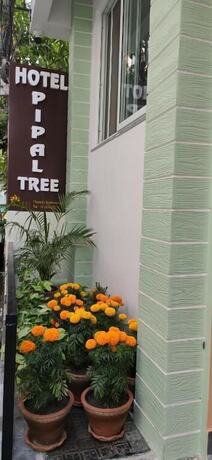 Imagen general del Hotel Pipal Tree, Katmandu. Foto 1
