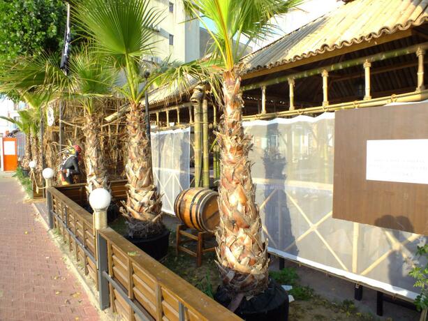 Imagen general del Hotel Pirates Resort. Foto 106