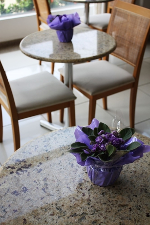 Imagen del bar/restaurante del Hotel Pisa Plaza. Foto 4