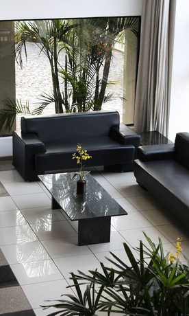 Imagen de los interiores del Hotel Pisa Plaza. Foto 17