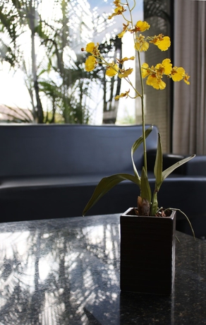 Imagen de los interiores del Hotel Pisa Plaza. Foto 18