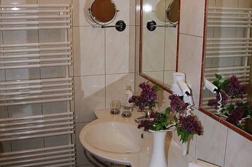 Imagen de la habitación del Hotel Pistenhotel Lizumerhof. Foto 12