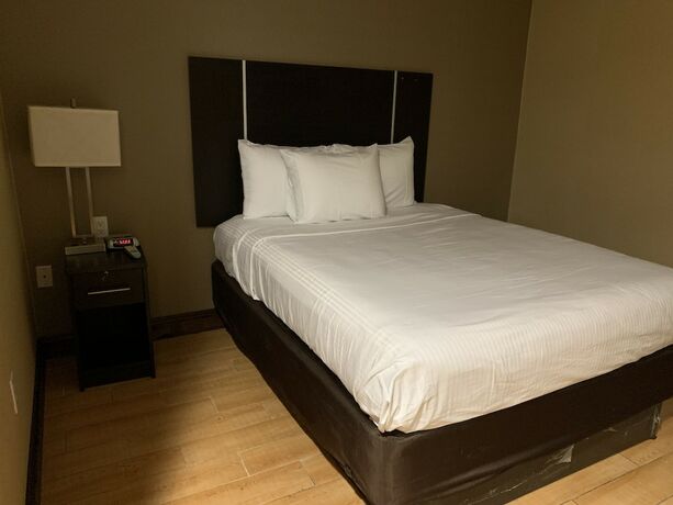 Imagen de la habitación del Hotel Pitkin. Foto 8