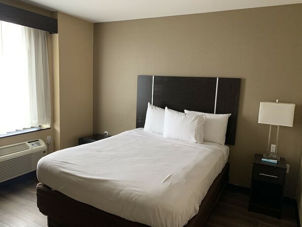 Imagen de la habitación del Hotel Pitkin. Foto 10