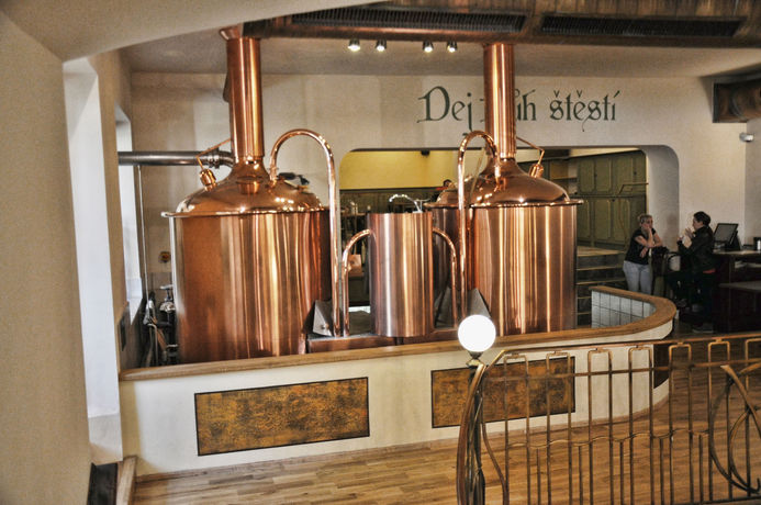 Imagen de la habitación del Hotel Pivovar Monopol. Foto 6