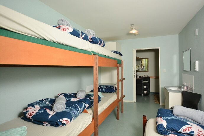 Imagen de la habitación del Hotel Piwaka Lodge and Backpackers. Foto 12
