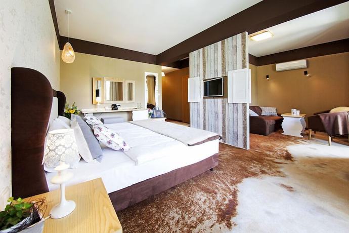 Imagen de la habitación del Hotel Piwniczna Spa and Conference. Foto 12