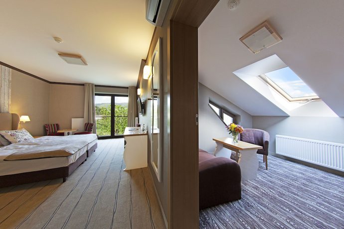 Imagen de la habitación del Hotel Piwniczna Spa and Conference. Foto 17