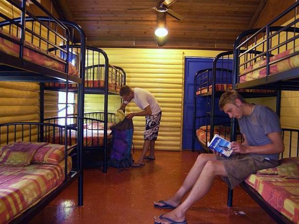 Imagen general del Hotel Pks Jungle Village - Hostel. Foto 5