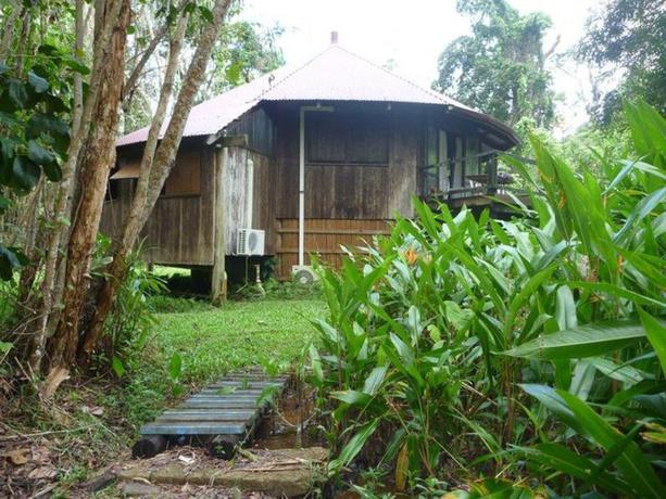 Imagen general del Hotel Pks Jungle Village - Hostel. Foto 8