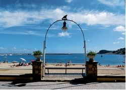 Imagen general del Hotel Plaça. Foto 4