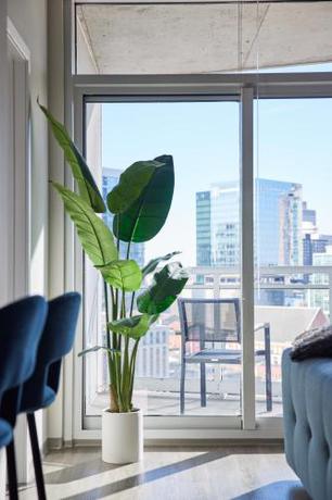 Imagen de la habitación del Hotel Placemakr Premier SoBro. Foto 12