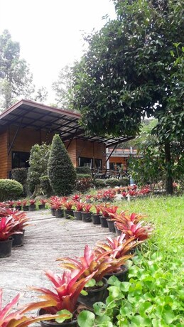 Imagen de la habitación del Hotel Plainam Resort. Foto 11