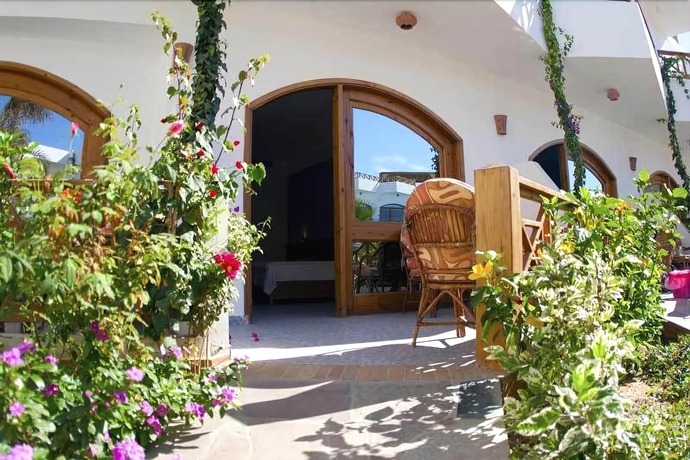Imagen de la habitación del Hotel Planet Oasis. Foto 16