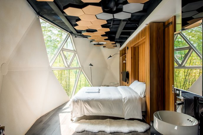 Imagen de la habitación del Hotel Planet Zero Retreat. Foto 3